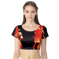 Short Sleeve Crop Top (tight Fit) by SaraThePixelPixie