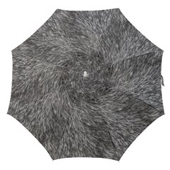 Grey Wolf Fur Straight Umbrellas by trendistuff