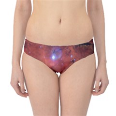 Skull & Crossbones Hipster Bikini Bottoms by trendistuff