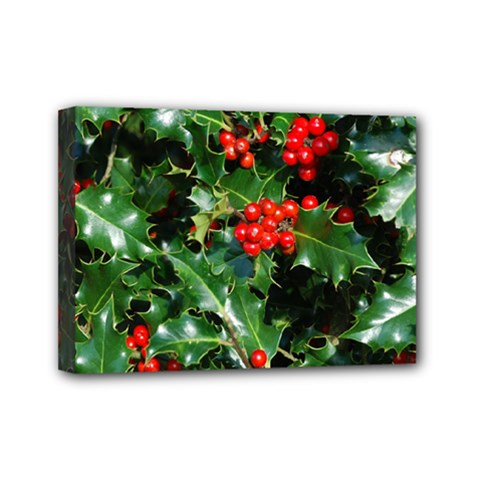 Holly 2 Mini Canvas 7  X 5  by trendistuff