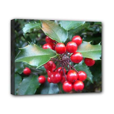 Holly 1 Canvas 10  X 8  by trendistuff