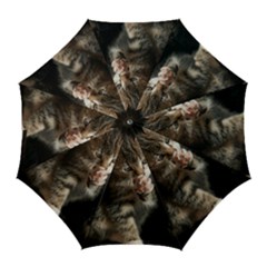 Talk To The Paw Golf Umbrellas by trendistuff