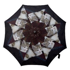 Kitty Twins Hook Handle Umbrellas (small) by trendistuff