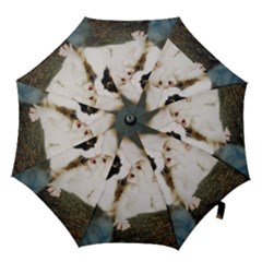 Calico Cat And White Kitty Hook Handle Umbrellas (large) by trendistuff