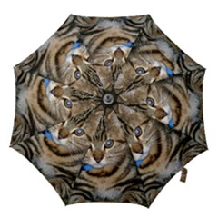 Blue-eyed Kitty Hook Handle Umbrellas (small) by trendistuff