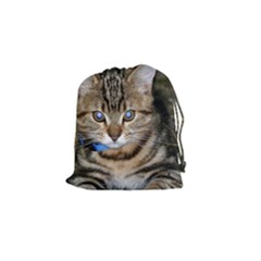 Blue-eyed Kitty Drawstring Pouches (small)  by trendistuff