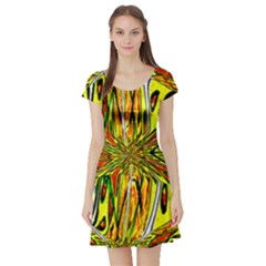 Flair Short Sleeve Skater Dress by MRTACPANS