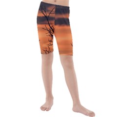 Tree Branches And Sunset Kids  Mid Length Swim Shorts by picsaspassion