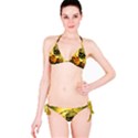 Halloween, Funny Pumpkins And Skull With Spider Bikini Set View3