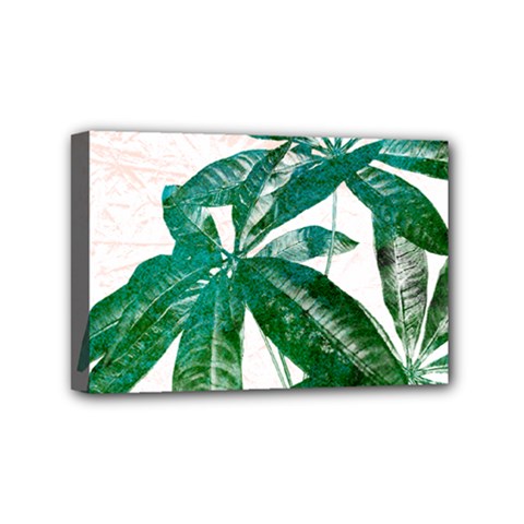 Pachira Leaves  Mini Canvas 6  X 4  by DanaeStudio