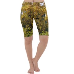Vermont Autumn Tree Cropped Leggings by SusanFranzblau