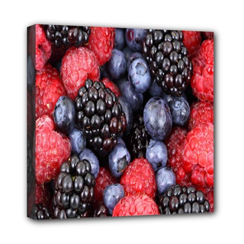 Forest Fruit Mini Canvas 8  X 8  by Nexatart