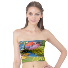 Beautifull Parrots Bird Tube Top by Nexatart