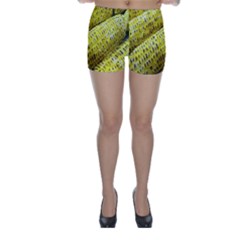 Corn Grilled Corn Cob Maize Cob Skinny Shorts by Nexatart