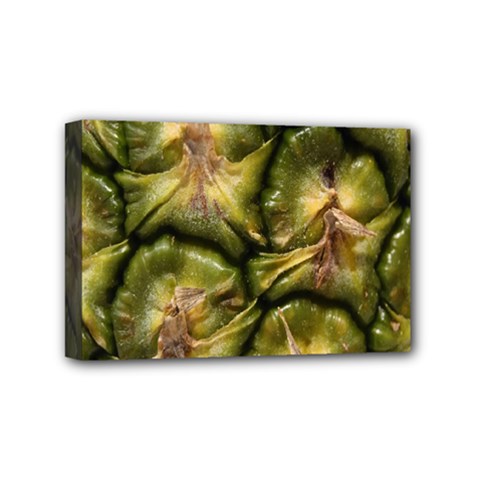Pineapple Fruit Close Up Macro Mini Canvas 6  X 4  by Nexatart