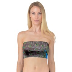 Peacock Feather Beat Rad Blue Bandeau Top by Amaryn4rt