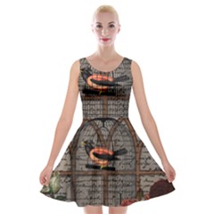 Vintage Bird In The Cage Velvet Skater Dress by Valentinaart