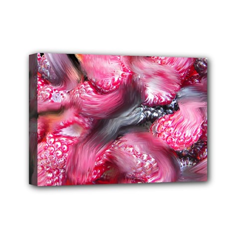 Raspberry Delight Mini Canvas 7  X 5  by Nexatart