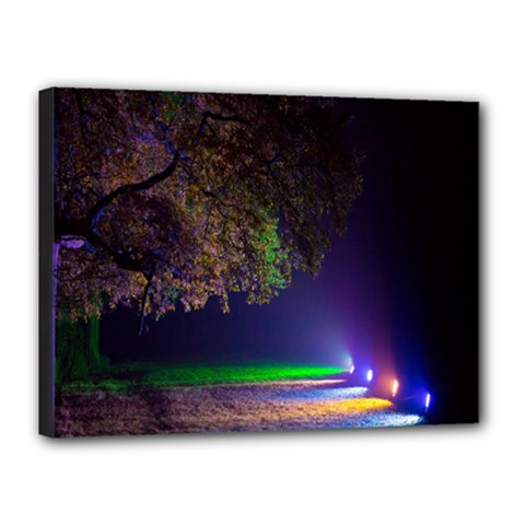 Illuminated Trees At Night Canvas 16  X 12  by Nexatart