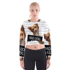 Bad Dog Cropped Sweatshirt by Valentinaart