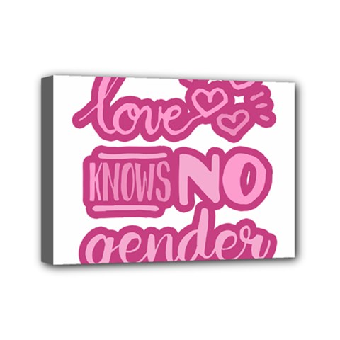 Love Knows No Gender Mini Canvas 7  X 5  by Valentinaart