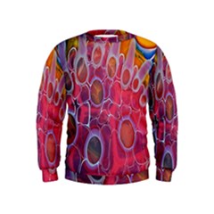 Micro Macro Belle Fisher Nature Stone Kids  Sweatshirt by Mariart