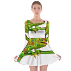 Chameleons Long Sleeve Skater Dress by Valentinaart