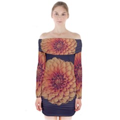 Art Beautiful Bloom Blossom Bright Long Sleeve Off Shoulder Dress by Nexatart