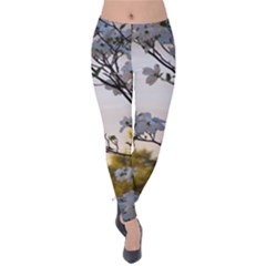 Morning Promise Velvet Leggings by oddzodd