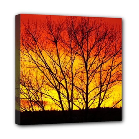 Sunset Abendstimmung Mini Canvas 8  X 8  by BangZart