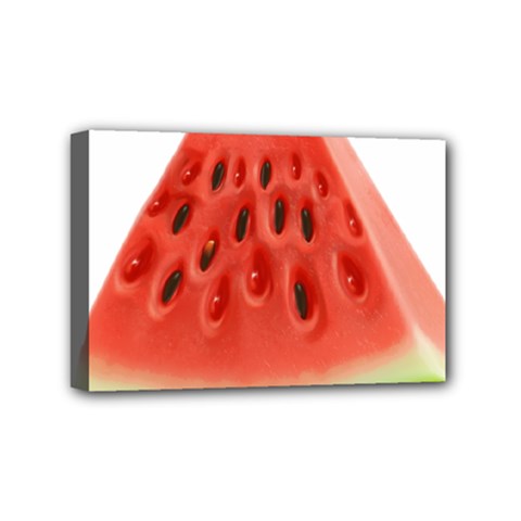 Piece Of Watermelon Mini Canvas 6  X 4  by BangZart