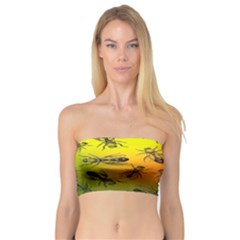 Insect Pattern Bandeau Top by BangZart