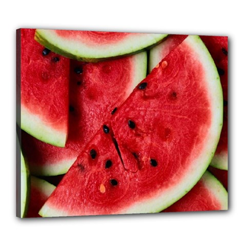 Fresh Watermelon Slices Texture Canvas 24  X 20  by BangZart