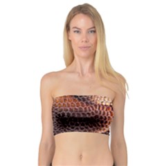 Snake Python Skin Pattern Bandeau Top by BangZart
