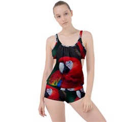 Scarlet Macaw Bird Boyleg Tankini Set  by BangZart