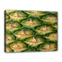 Pineapple Pattern Canvas 16  x 12  View1