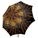 Pyrotechnics Thirty Eight Hook Handle Umbrellas (Medium) View2