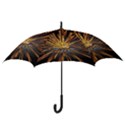 Pyrotechnics Thirty Eight Hook Handle Umbrellas (Medium) View3