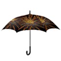 Pyrotechnics Thirty Eight Hook Handle Umbrellas (Small) View3