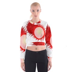 Rambutan Fruit Red Sweet Cropped Sweatshirt by Mariart