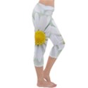 Art Daisy Flower Art Flower Deco Capri Yoga Leggings View3