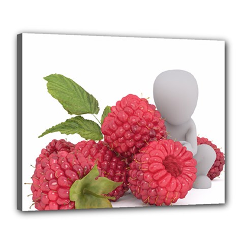 Fruit Healthy Vitamin Vegan Canvas 20  X 16  by BangZart