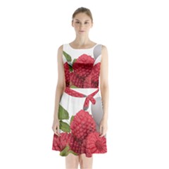 Fruit Healthy Vitamin Vegan Sleeveless Waist Tie Chiffon Dress by BangZart