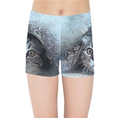 Cat Pet Art Abstract Vintage Kids Sports Shorts by Celenk
