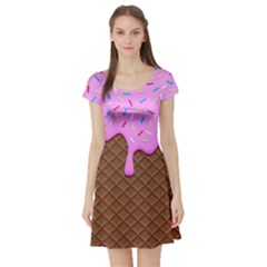 Chocolate And Strawberry Icecream Short Sleeve Skater Dress by jumpercat
