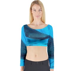 Whale Shark 2 Long Sleeve Crop Top by trendistuff