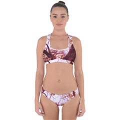 Highland Park 12 Cross Back Hipster Bikini Set by bestdesignintheworld