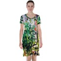 plant in the room  Short Sleeve Nightdress View1