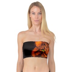 Cat Digiart Artistically Cute Bandeau Top by Simbadda