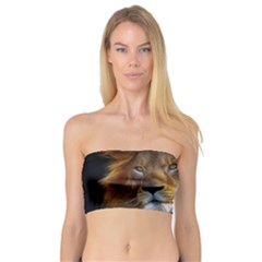 Fractalius Big Cat Animal Bandeau Top by Simbadda